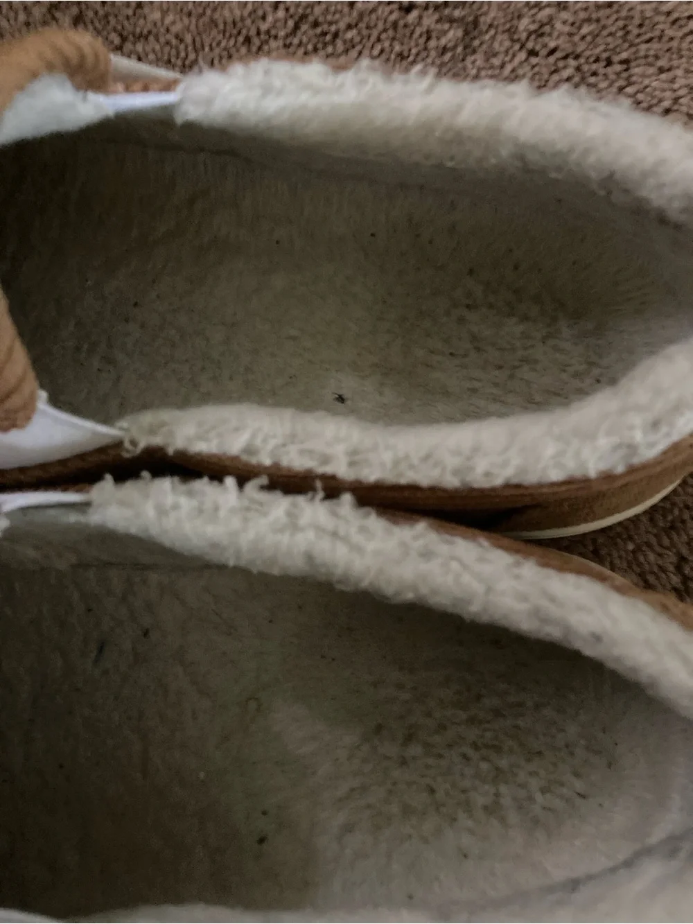 J. Crew  shoes woman’s slip on !